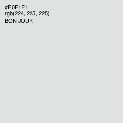 #E0E1E1 - Bon Jour Color Image